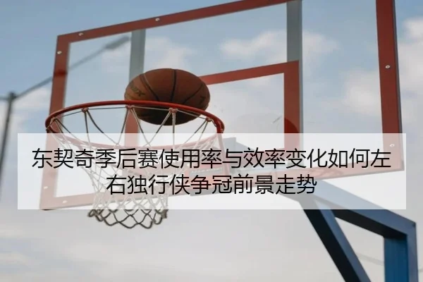 东契奇季后赛使用率与效率变化如何左右独行侠争冠前景走势