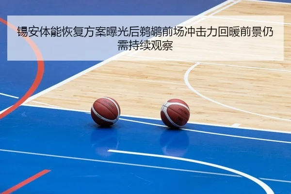 锡安体能恢复方案曝光后鹈鹕前场冲击力回暖前景仍需持续观察